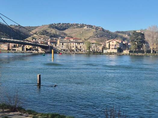 Maison à vendre 375 000 € 6 pièces 4 chambres 204 m² 165 m² de terrain Condrieu 69420