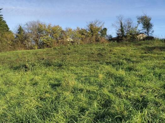 Terrain constructible à vendre 44 000 € 2 006 m² de terrain Razac-sur-l'Isle 24430