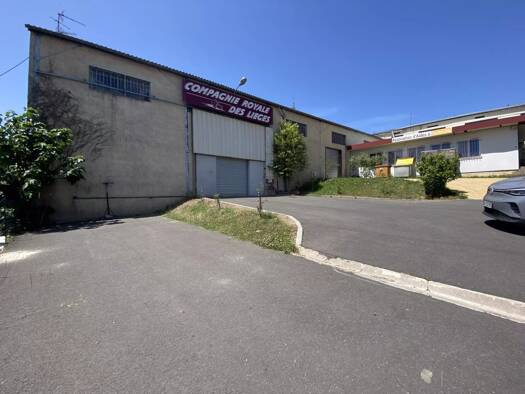 Entrepôt à vendre 208 333 € Lussac 33570