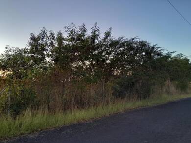 Terrain constructible à vendre 165 000 € 840 m² de terrain Vieux-Habitants 97119