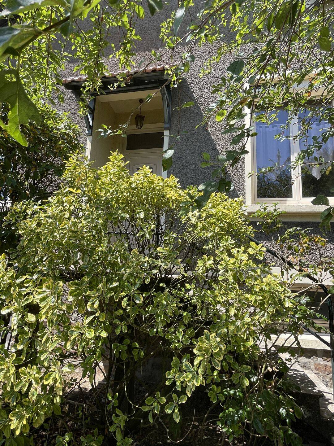 Maison 6 pièces 157 m² · à Ancenis-Saint-Géréon · 157,3 m² · 245 500 €