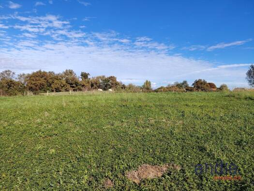 Terrain constructible à vendre 26 520 € 1 126 m² de terrain Poudenx 40700