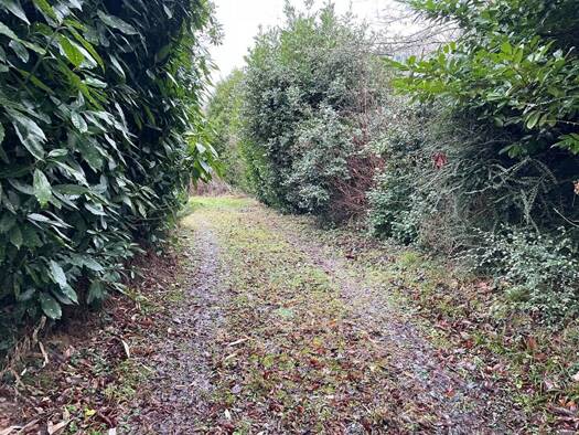 Terrain constructible viabilisé à vendre 98 900 € 1 406 m² de terrain Villiers-Saint-Denis 02310