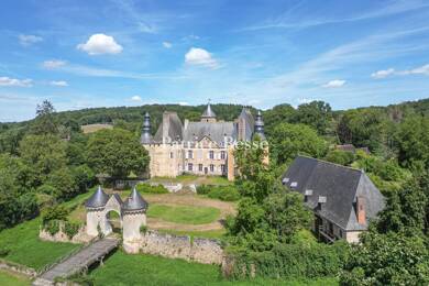 Château à vendre 1 815 000 € 20 pièces 15 chambres 960 m² 311 395 m² de terrain Ferté-Bernard 72400