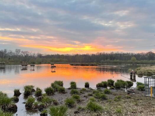 Terrain à vendre 2 014 000 € 1 030 000 m² de terrain Clémont 18410