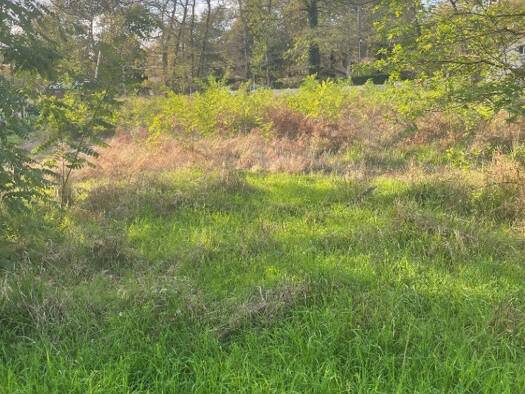 Terrain constructible à vendre 48 000 € 880 m² de terrain Vertheuil 33180