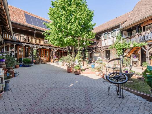 Maison à vendre 995 000 € 11 pièces 8 chambres 444 m² 3 200 m² de terrain Furchhausen 67700