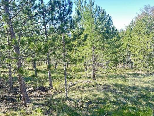 Terrain constructible viabilisé à vendre 99 000 € 501 m² de terrain Mollans-sur-Ouvèze 26170