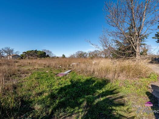 Espace industriel à vendre 660 000 € 7 438 m² de terrain Saint Assiscle-Saint Charles Perpignan 66000