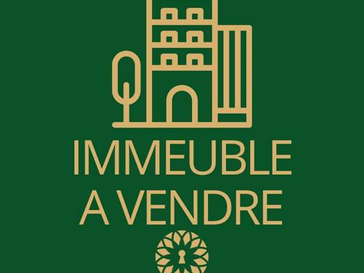 Immeuble à vendre 823 000 € 195,65 m² Centre Ville Reims 51100