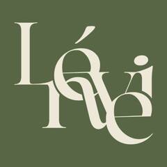 Lévine Immobilier - 13ème logo