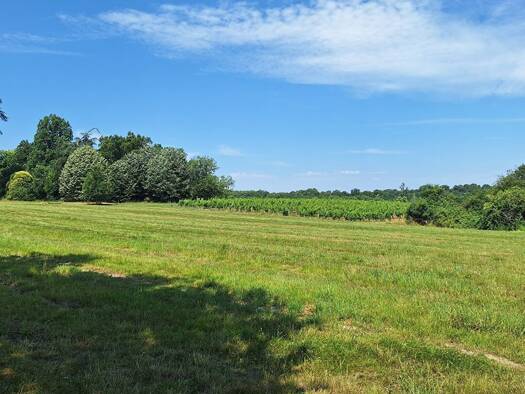 Terrain à vendre 15 000 € 6 500 m² de terrain Créon 33670