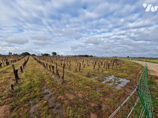 Terrain à vendre 124 999 € 58 962 m² de terrain Beauvoisin 30640