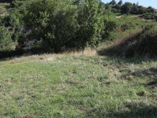 Terrain constructible viabilisé à vendre 49 000 € 474 m² de terrain Bâgé-la-Ville 01380