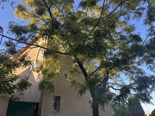 Villa à vendre 215 000 € 4 pièces 2 chambres 77 m² Saleilles 66280