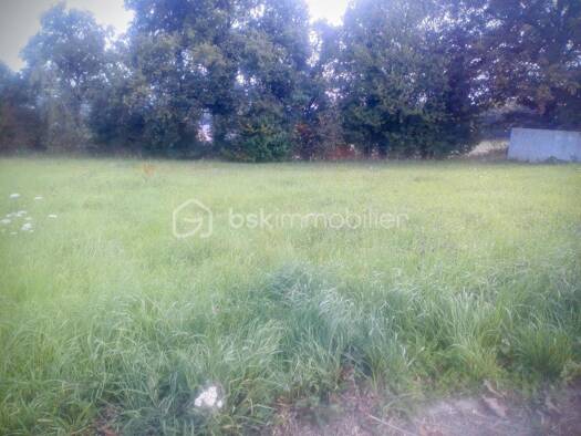 Terrain constructible viabilisé à vendre 40 000 € 721 m² de terrain Martigné-Ferchaud 35640