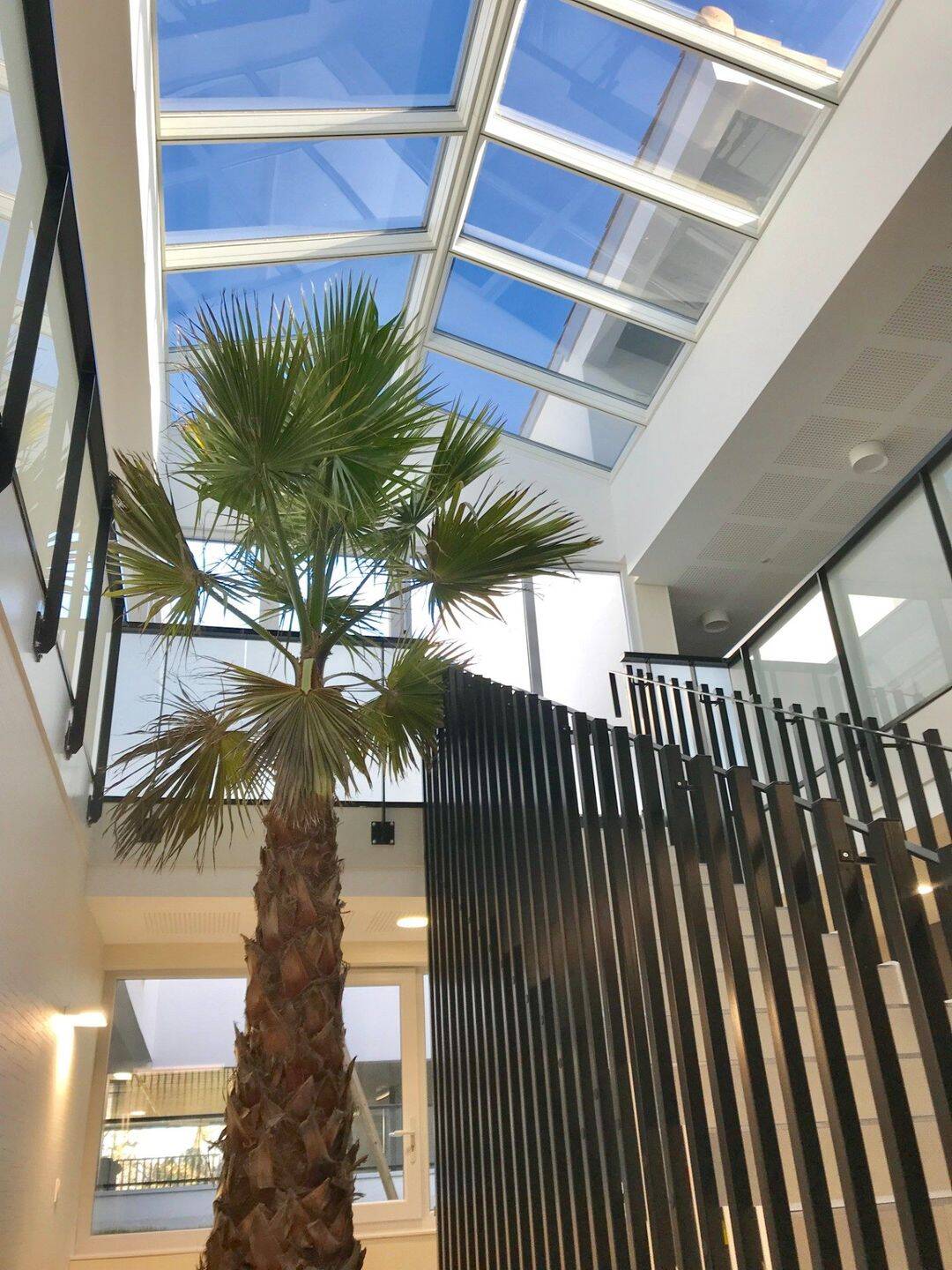 Appartement 3 pièces 60 m² · à Toulouse · 60 m² · 815 €/mois
