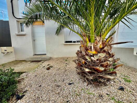 Appartement à louer 702 € 4 pièces 2 chambres 87 m² 1er étage Zone Industrielle Saint-Brieuc 22000