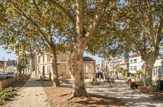 Appartement 1 pièce 11 m² · à Bordeaux · 11 m² · 440 €