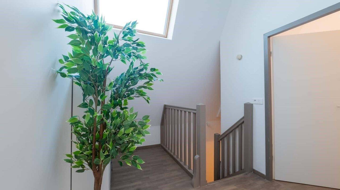 Move into this 11 m² room within Bacalan - BO46 - Colocation — 11