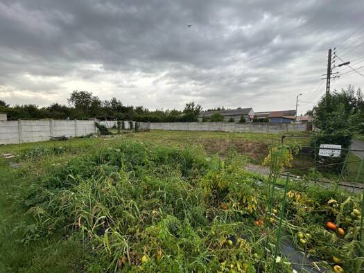 Terrain constructible à vendre 31 000 € 485 m² de terrain Roye 80700