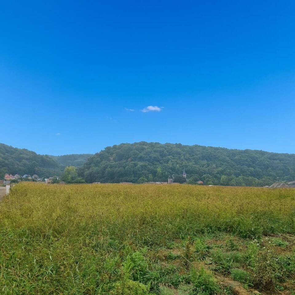 Maison 6 pièces 134 m² · à Herserange · 134 m² · 399 999 €