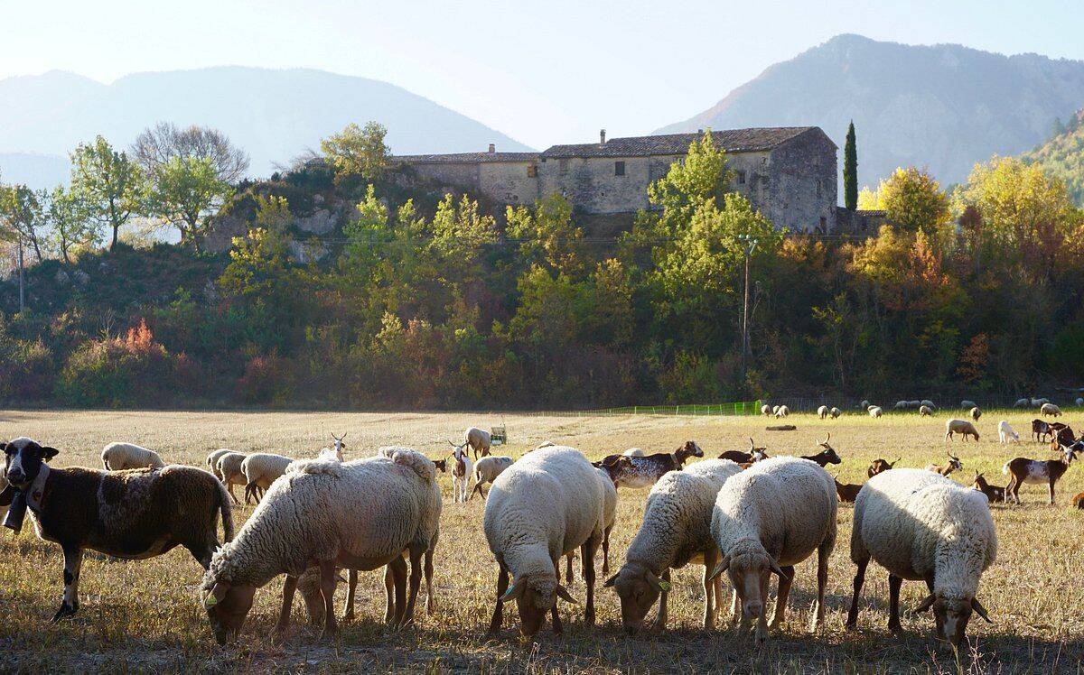 Maison 10 pièces 278 m² · à Sisteron · 278 m² · 689 000 €
