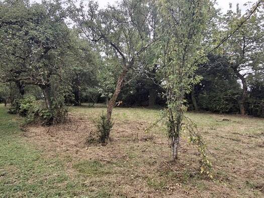Terrain constructible à vendre 32 500 € 2 600 m² de terrain Les Aix-d'Angillon 18220