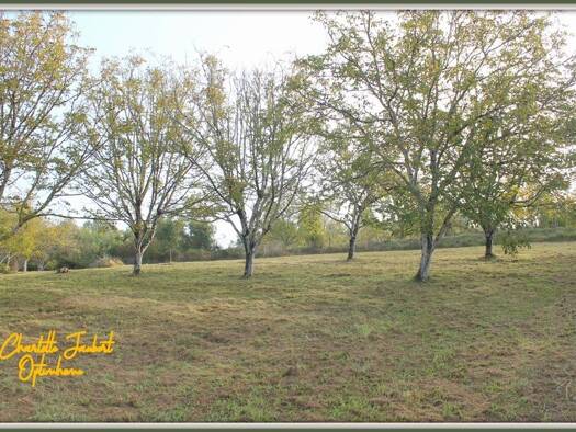 Terrain à vendre 44 000 € 5 090 m² de terrain Chalais 16210