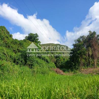 Terrain constructible à vendre 132 000 € 4 800 m² de terrain Vieux Habitants 97119