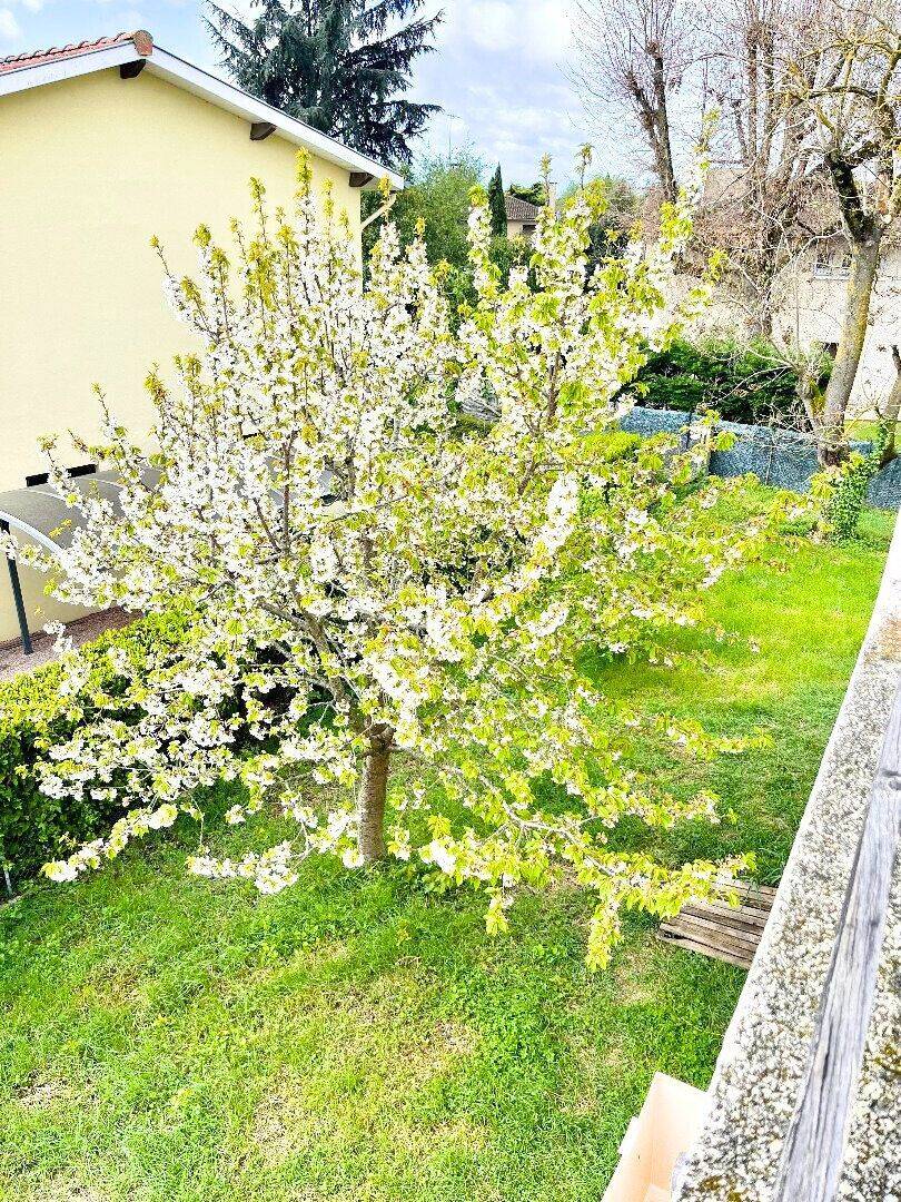 Maison 5 pièces 90 m² · à Bruguières · 90 m² · 1 231 €/mois