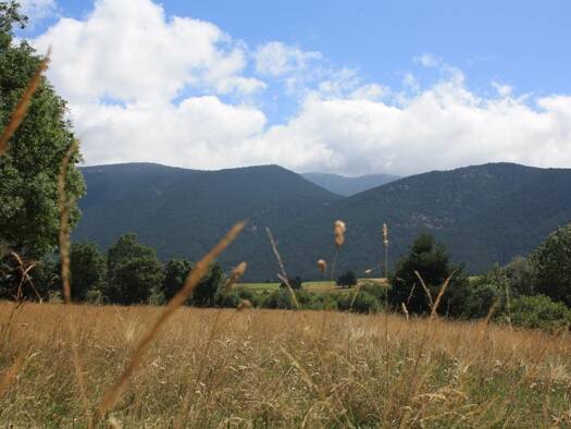 Terrain constructible viabilisé à vendre 98 000 € 309 m² de terrain Formiguères 66210