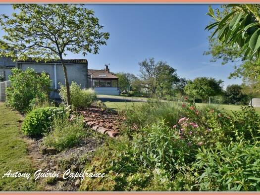 Maison à vendre 329 000 € 7 pièces 5 chambres 201 m² 3 200 m² de terrain Saint-Aubin-des-Ormeaux 85130