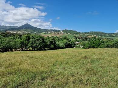Terrain constructible à vendre 942 200 € 16 341 m² de terrain Le Vauclin 97280