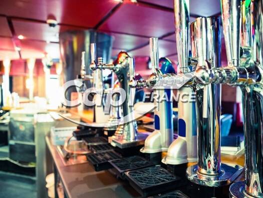 Restaurant à vendre Fonds de commerce 350 000 € 140 m² d'espace de restauration Centre Ville Nord Aix-les-Bains 73100