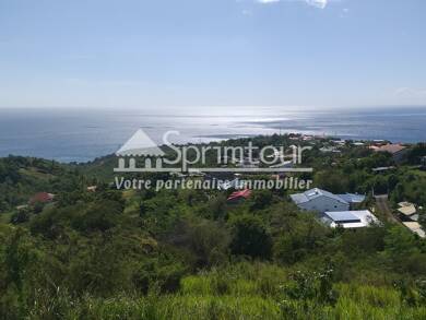 Terrain constructible à vendre 229 500 € 2 700 m² de terrain Vieux Habitants 97119