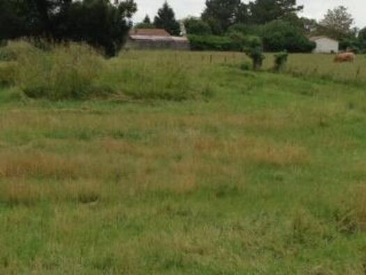 Terrain constructible viabilisé à vendre 187 000 € 800 m² de terrain La Queue-les-Yvelines 78940