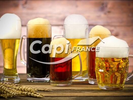 Restaurant à vendre Fonds de commerce 275 000 € 90 m² d'espace de restauration Centre Ville Nord Aix-les-Bains 73100