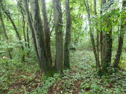 Propriété de loisirs à vendre 3 600 € 1 080 m² de terrain Lignerolles 27220