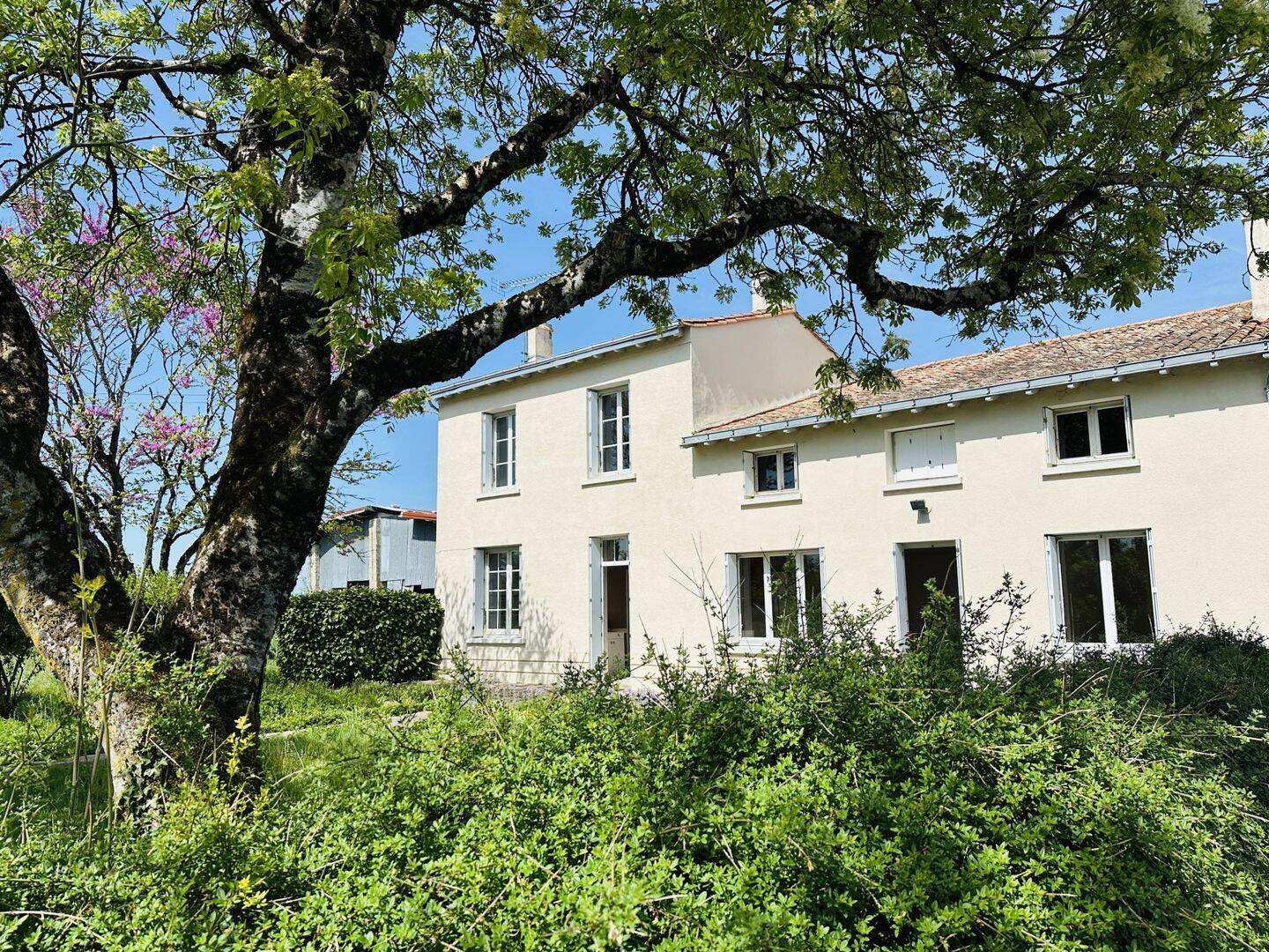 Maison 5 pièces 133 m² · à Amuré · 133 m² · 173 000 €