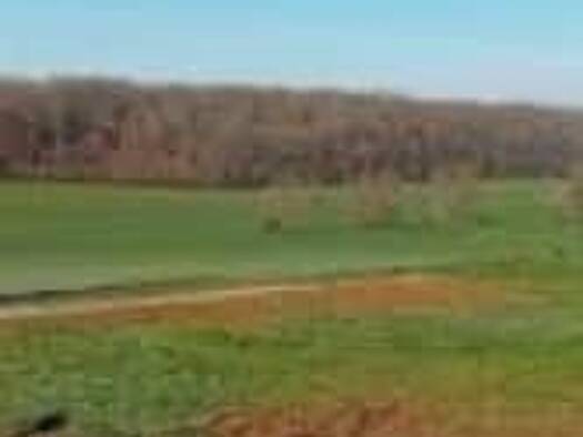 Terrain constructible viabilisé à vendre 46 000 € 2 423 m² de terrain Pesmes 70140