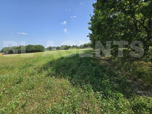 Terrain à vendre 50 000 € 42 777 m² de terrain Vacquiers 31340