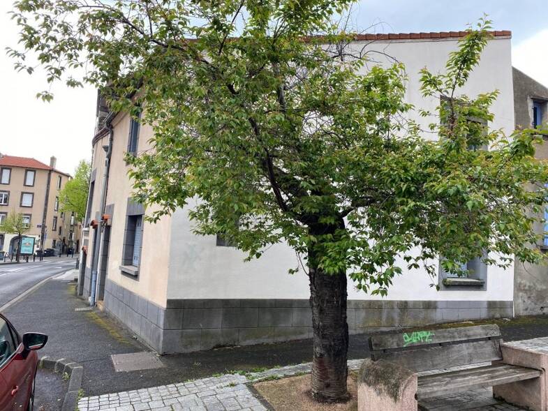 Appartement à louer 480 € 2 pièces 1 chambre 34 m² 1er étage Saint Alyre Clermont-Ferrand 63000