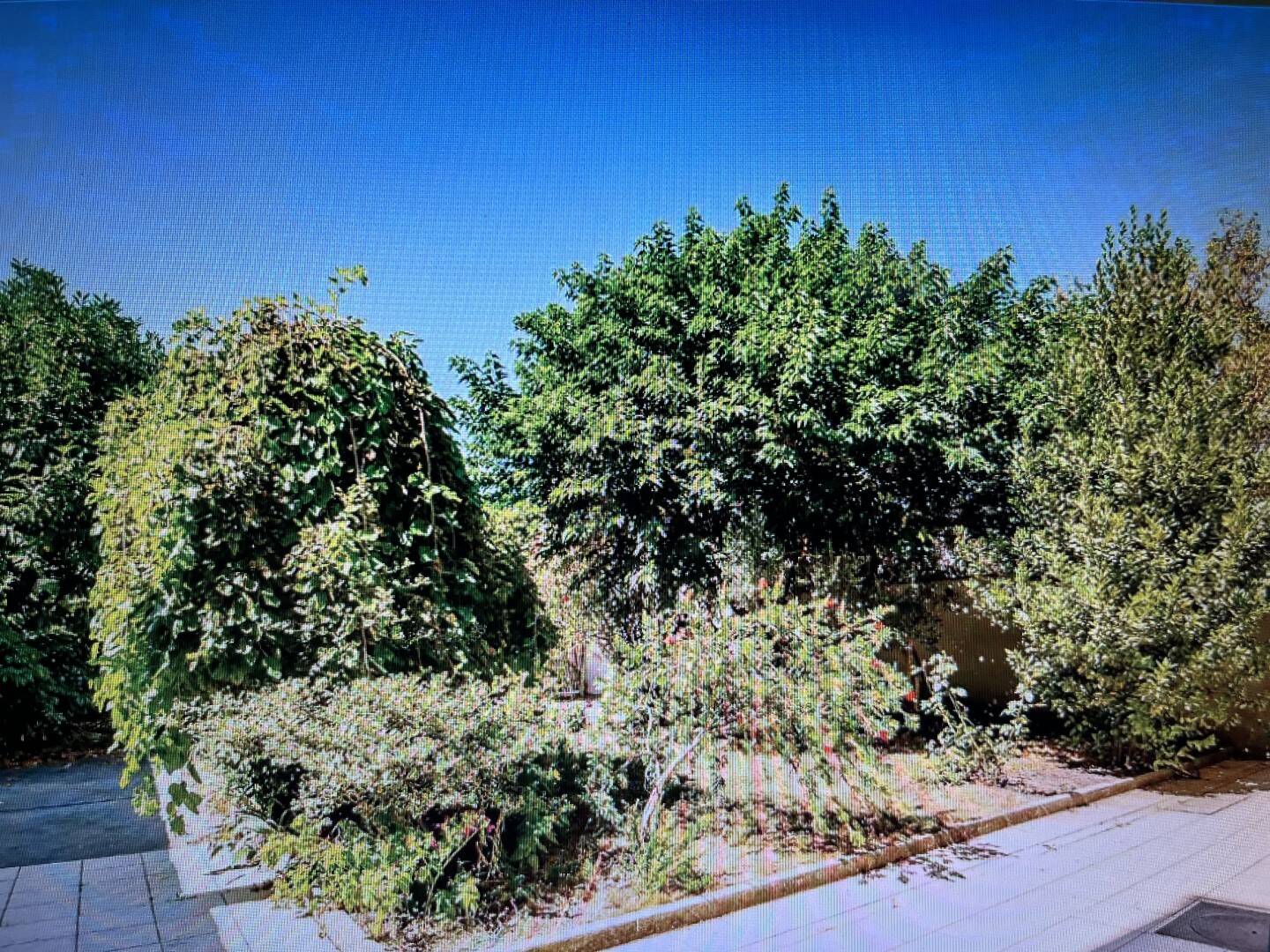 Maison 10 pièces 366 m² · à Bordeaux · 366 m² · 1 100 000 €