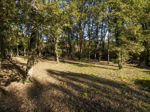 Terrain constructible viabilisé à vendre 105 000 € 1 010 m² de terrain Bouloc 31620