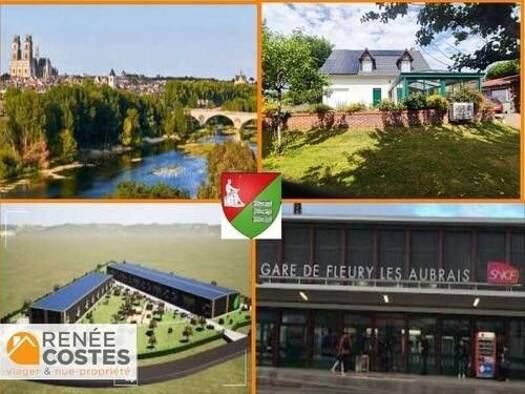 Maison en viager occupé Bouquet 75 500 € 5 pièces 3 chambres 170 m² 3 500 m² de terrain Orléans 45000