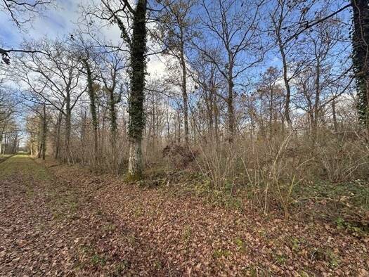 Terrain à vendre 127 062 € 119 780 m² de terrain Fontaines-en-Sologne 41250