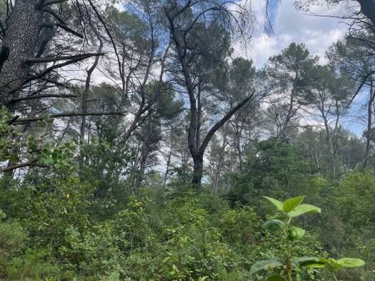 Terrain à vendre 9 500 € Ouest Fuveau 13710