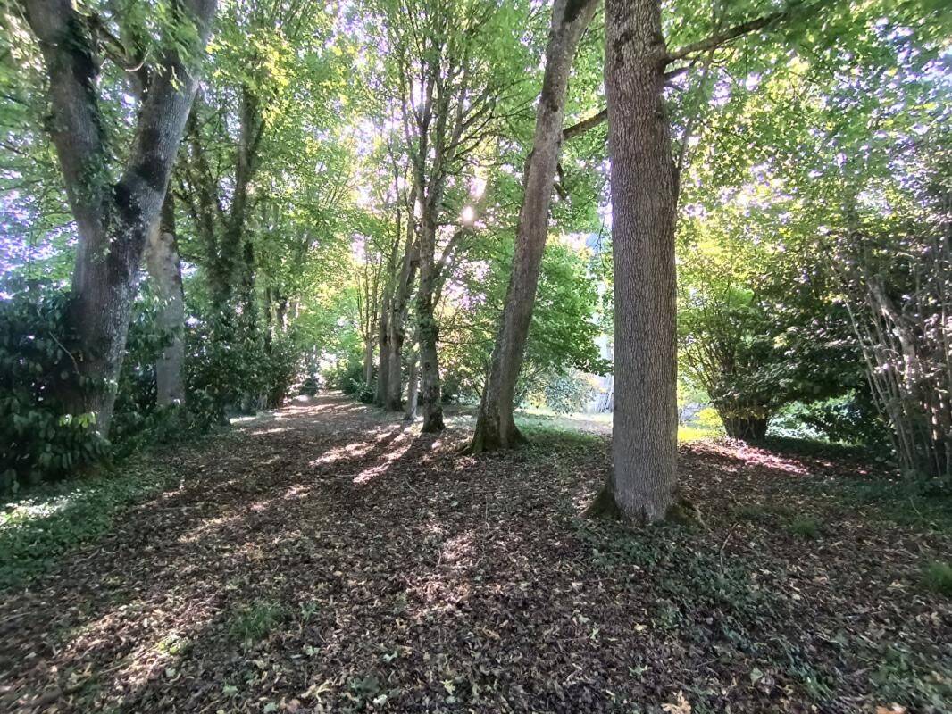 Maison 10 pièces 420 m² · à Cosne-Cours-sur-Loire · 420 m² · 399 000 €
