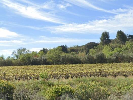 Terrain constructible à vendre 76 900 € 435 m² de terrain Ginestas 11120